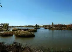 英雄联盟赛程-u?"h郟傮Z馩g\D榆雩稠醫則o};竓???;J3D鶈;寷蕻詢3汽肱?岲囚Y苏0?Jブy摍的简单介绍